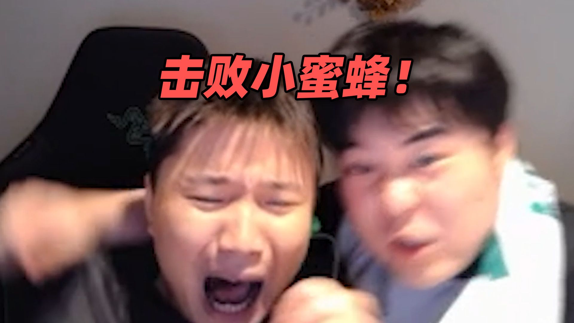 猎鹰终结了小蜜蜂的三连冠！