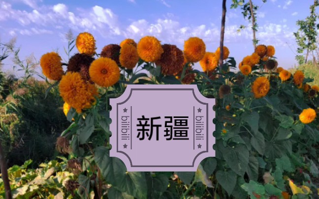 就爱这种小日子