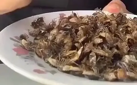 这玩意儿也能嘎巴脆