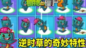 pvz2人口修改_pvz2薄荷家族