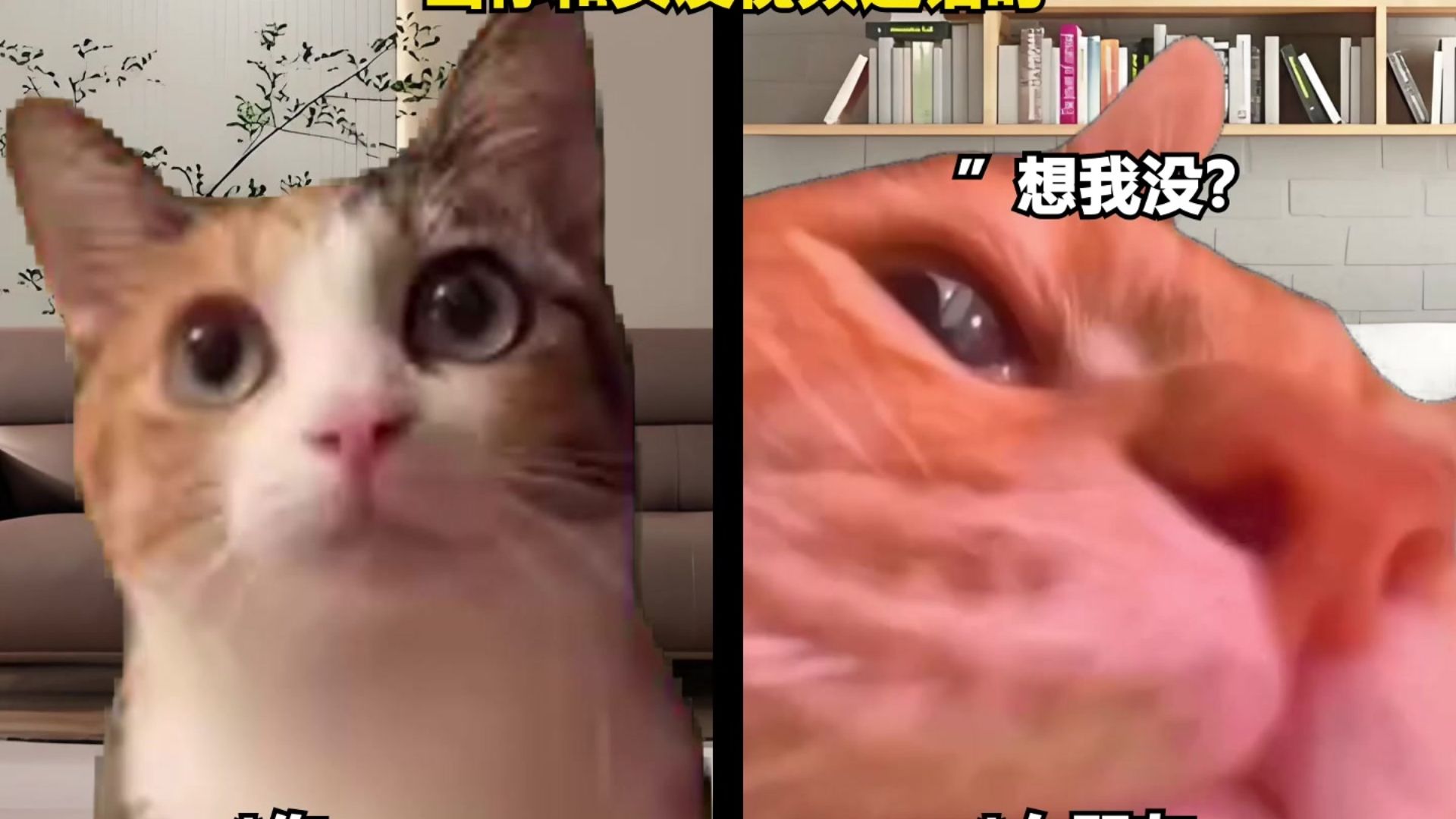 当你第一次见家长时搞笑合集