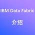 Data Fabric介绍