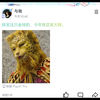 如何避免小朋友乱说话