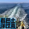 坐着巴士飘洋过海，别样的体验