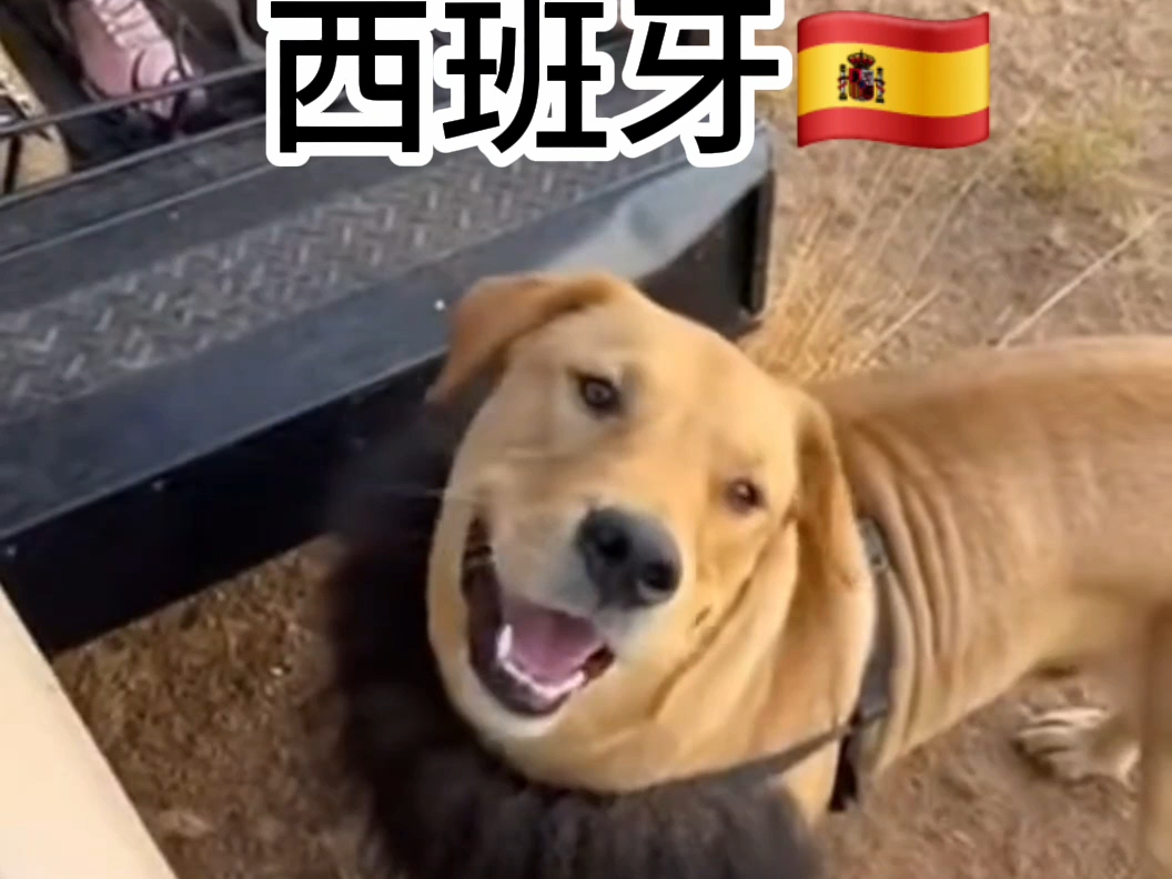 当我装高手被拆穿