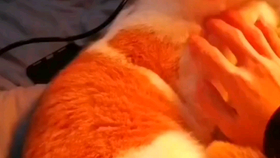 9b8699815139542eae7d39ac7d284fdbda7134ce.png@280w_158h_1c_100q.jpg