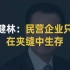 【大佬说】王健林：民营企业只能在夹缝中生存