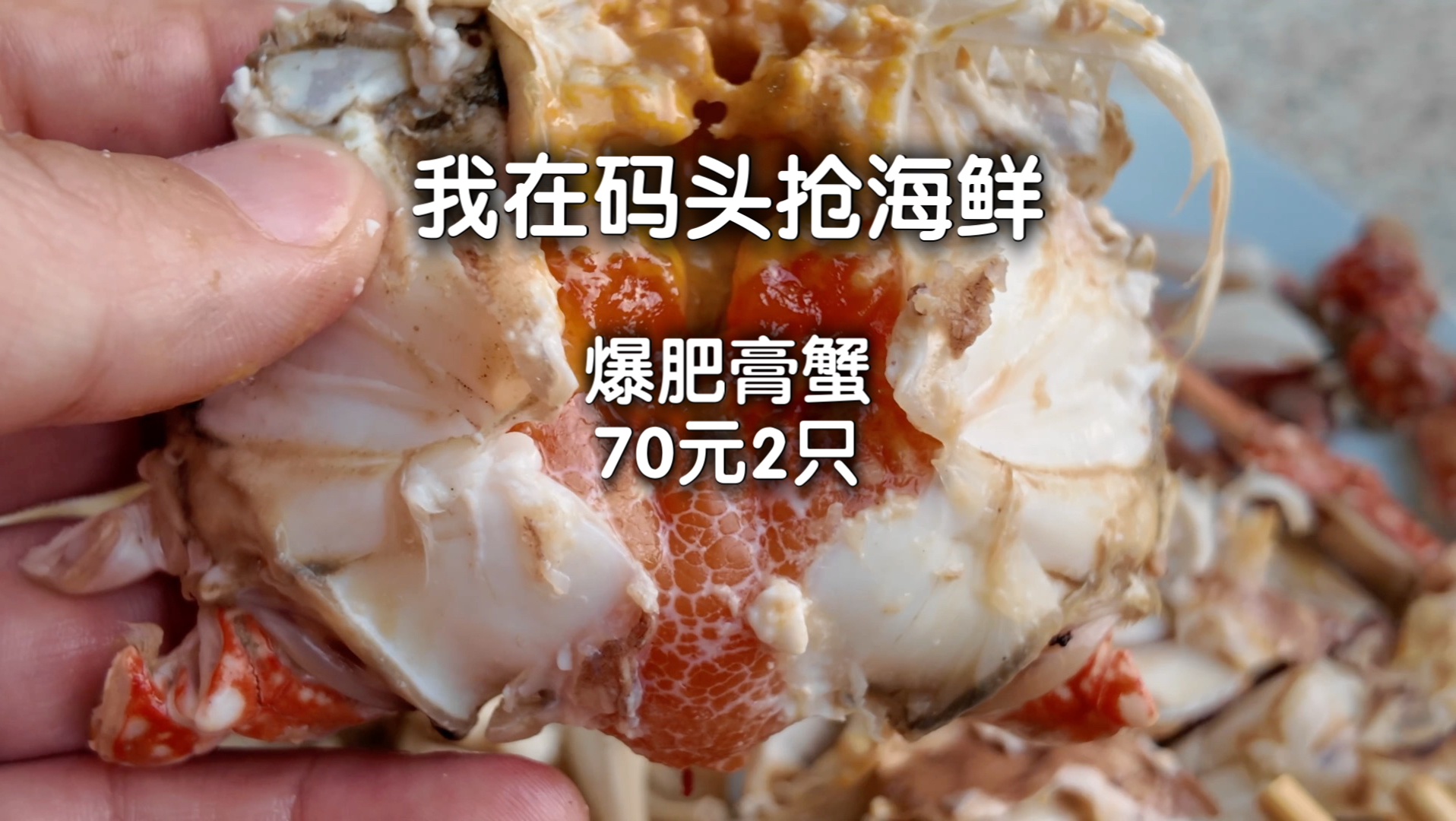 凌晨码头抢海鲜，200多算踩坑么…