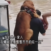 狗狗是宠物更是家人