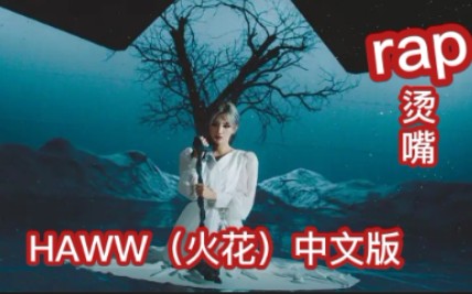 gidlehwaa火花中文版公开假的填词翻唱啦