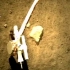 嫦娥五号月球表面采样视频