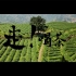 《走！喝茶》中国茶文化纪录片