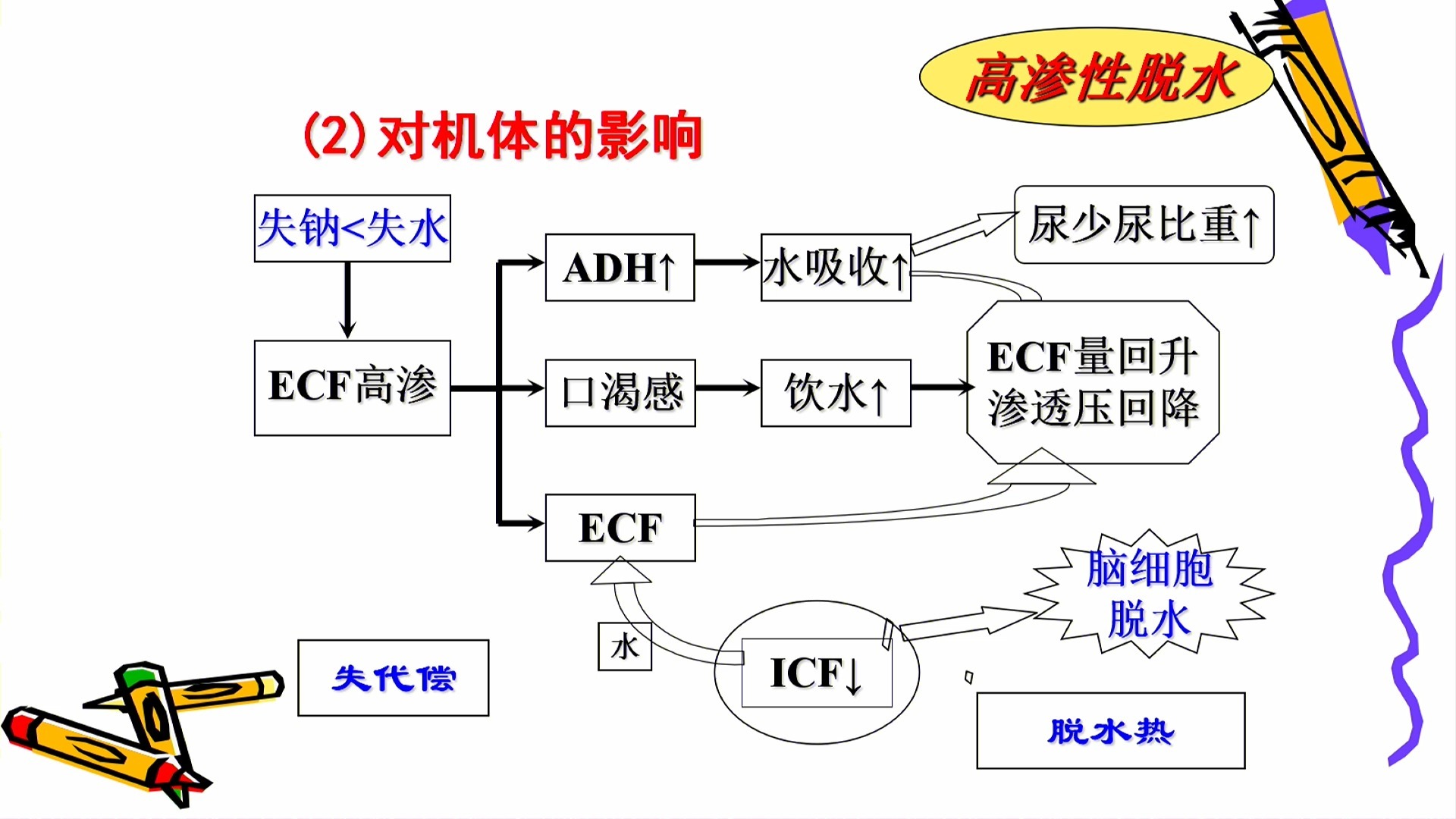 病理生理学——2小时速通 期末复习 快速总结