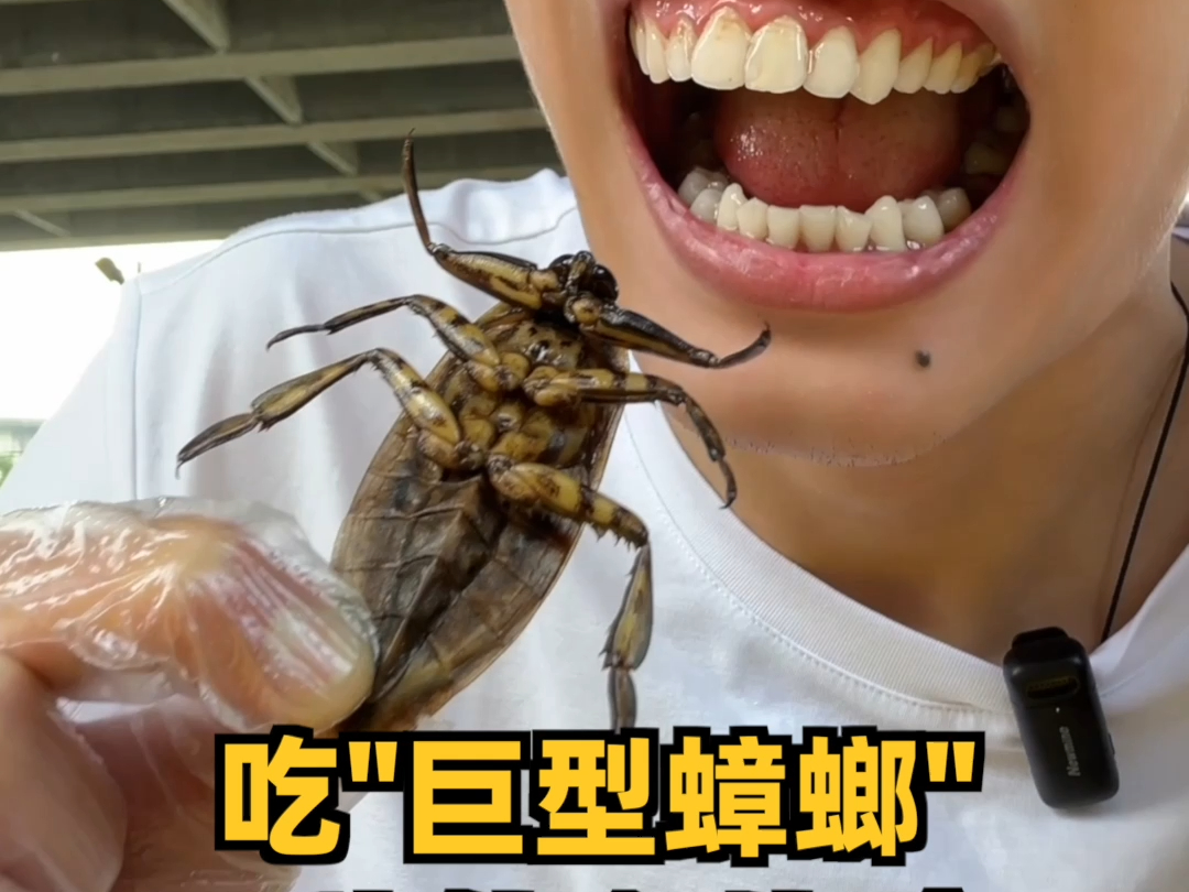 吃“巨型蟑螂”是种什么体验？