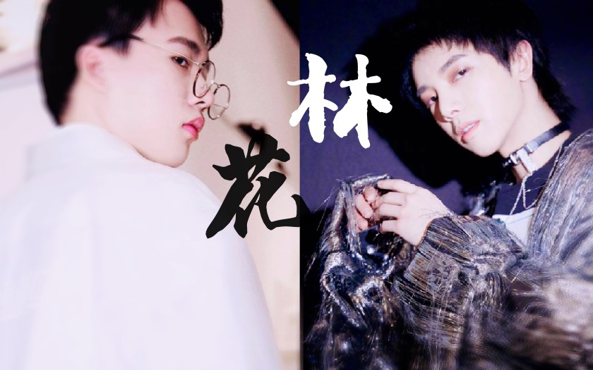 华晨宇×郭麒麟/论cp女孩如何在夹缝中磕糖/全损音质/请战略性调低