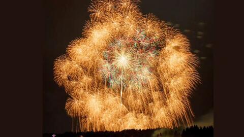 9c20196df59a9cf1b0c75932e4ff5f5edc698dc0.jpg@480w_270h_1c