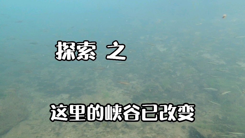 古苗河下游的一个小峡谷,时隔几年再探索,水底改变,好多石狼鱼哔哩哔哩bilibili