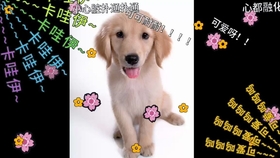 9c44c7396d1a9130bd4bfc471f9fc60a8047296d.jpg@280w_158h_1c_100q.jpg
