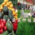 中国十大蔬菜种植基地，有很多已出口国外