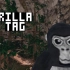 VR多人游戏《Gorilla Tag》发布短短两周内吸引了42,000名玩家