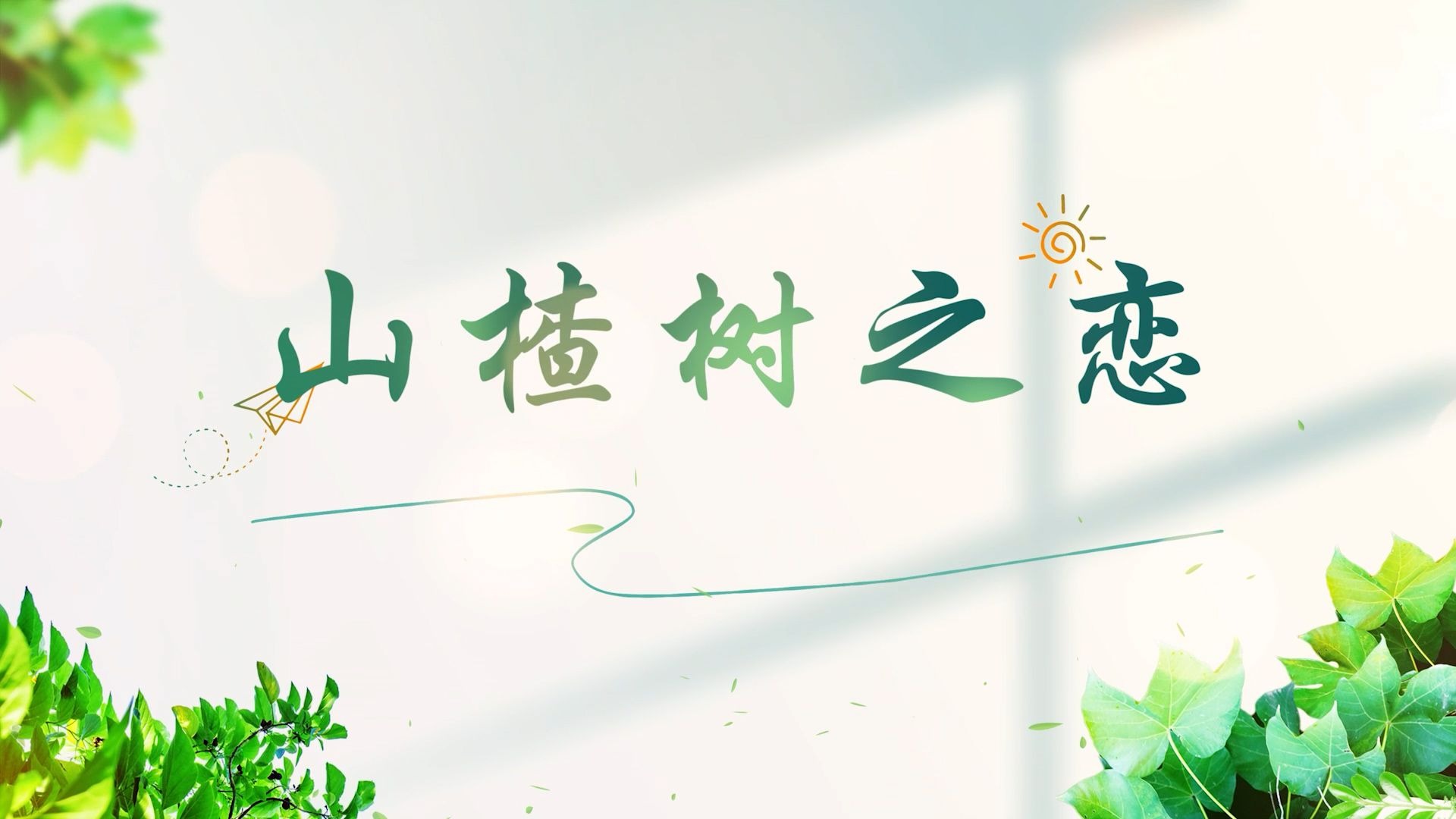 【山楂树之恋】伴奏+字幕-超高清舞台背景