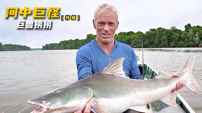河中巨怪特辑1，杰叔来到圭亚那，钓捕这里传说中的神秘生物捞捞