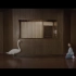 【电天鹅｜魔幻现实】Electric Swan｜Venice FF 油管全球电影节