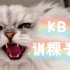 【帮粿呆】《KB的训粿手册》：家里有只脾气很大的小猫咪怎么办？