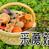 泡泡在云南采蘑菇：蘑菇之多，一篮装不下