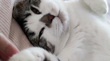 9cd766b2e3aaeffd4dbe03a58fb6128fa2e277ce.jpg@480w_270h_1c