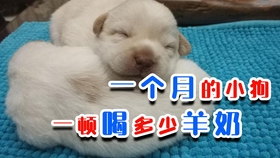 9cedb6f14561871139c7a62c27fed9e58679ac31.jpg@280w_158h_1c_100q.jpg