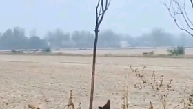9cf0b0077bcc7e2d635230c30d3372583f74d65c.jpg@280w_158h_1c_100q.jpg