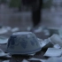 【纪录片预告】中国陶瓷，手造中国