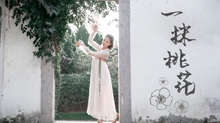 舞蹈视频古风惊艳 9cfe1911ec82c93aa3e947b31f2698ccd07cd302.jpg@310w_174h_1c_100q.jpg