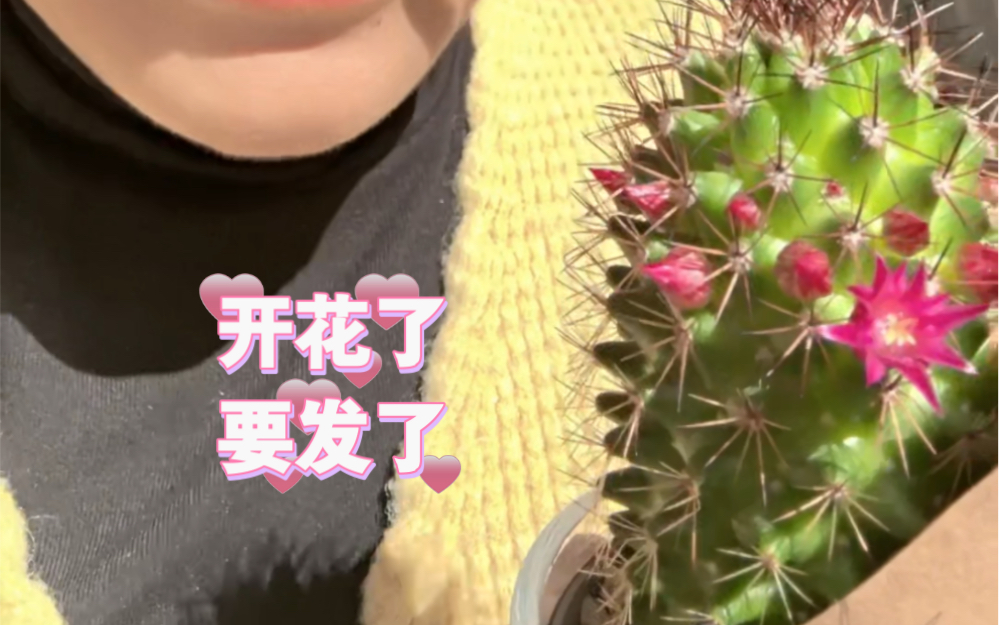 一顿午餐