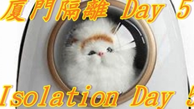 9d0bc4023f535cc859841e6d704a4dae6afaabdf.jpg@280w_158h_1c_100q.jpg