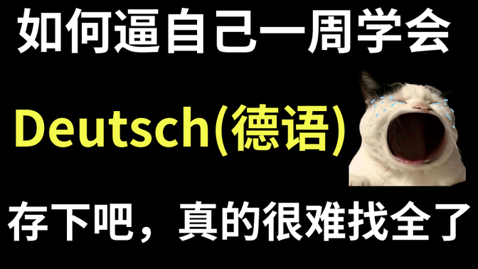 【b站强推】德语大佬一周讲完的德语教程！整整1000集，全干货无废话！还学不会我退出德语圈！