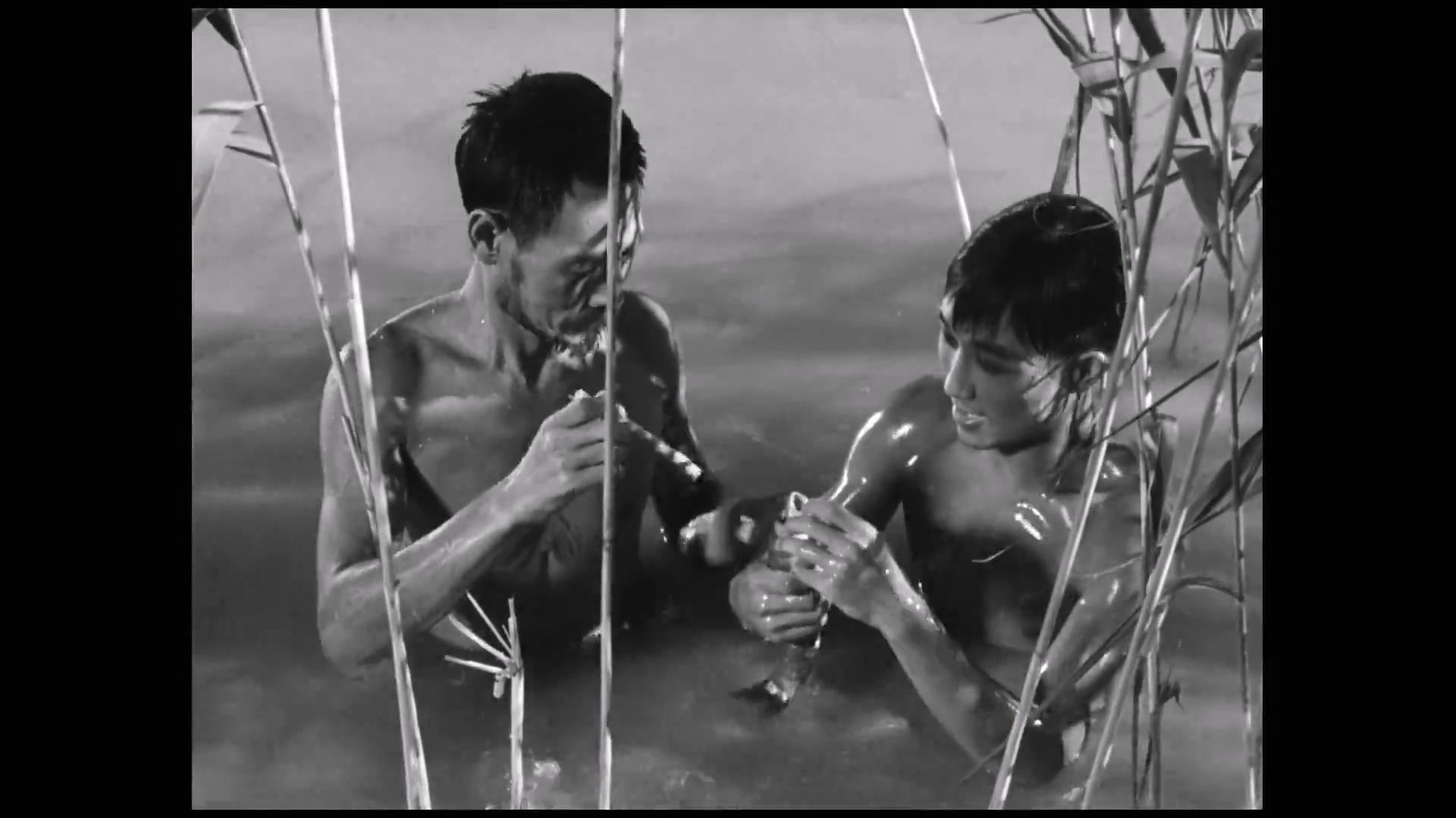 渡江侦察记 (1954)【孙道临/齐衡/孙永平/李玲君/陈述/郑敏】