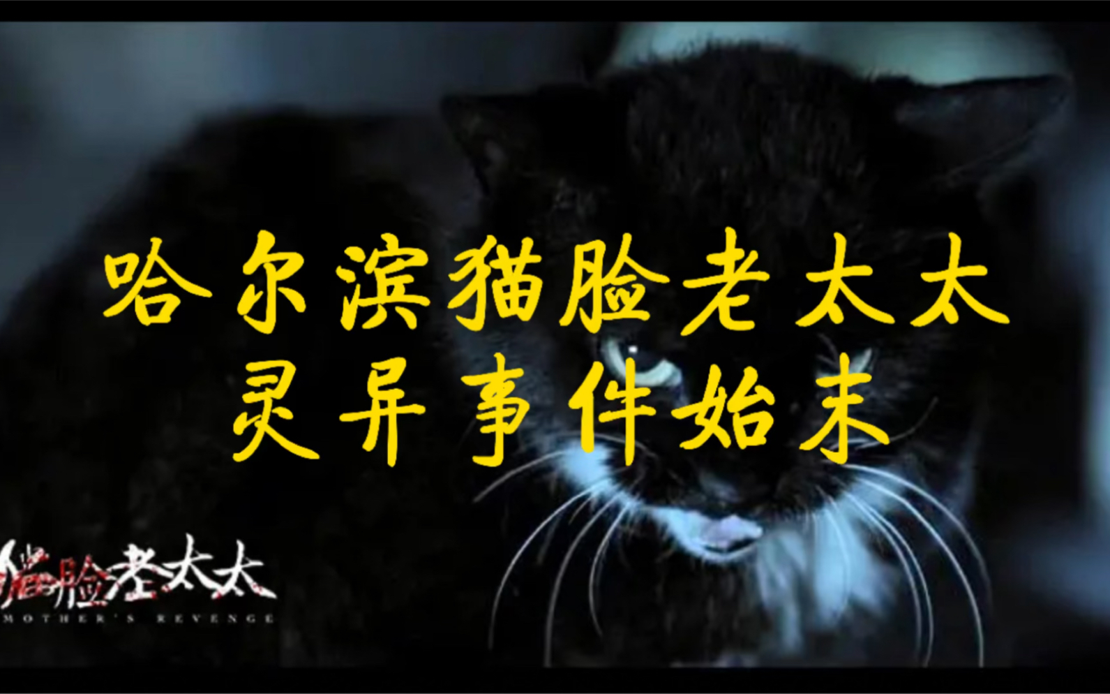 肆虐哈尔滨的猫脸老太太传闻或许来源于韩国 - 哔哩哔哩