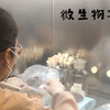 食品微生物实验——菌落总数与大肠菌群