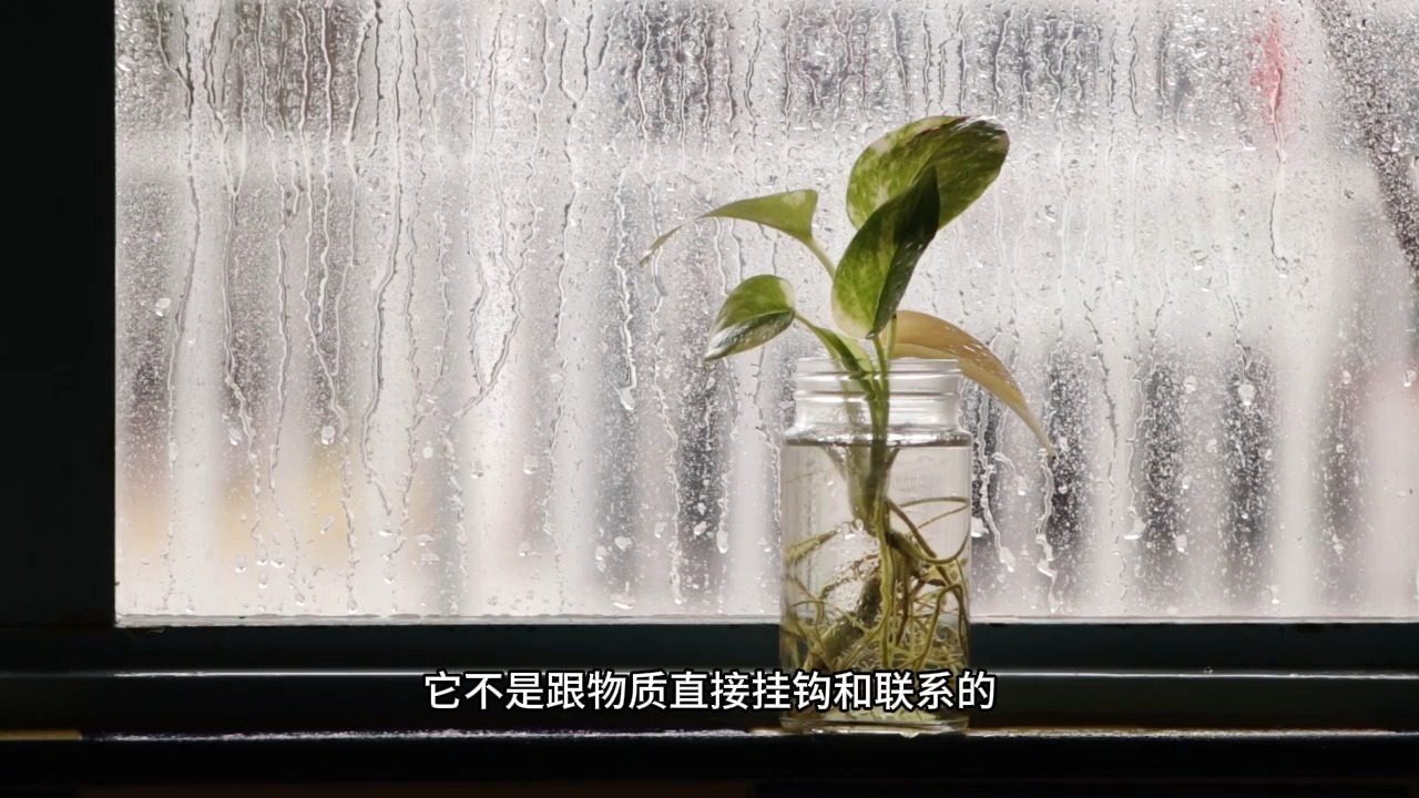 如何拥有快乐的能力？99%的人都没走过的路：随流认得性，无喜亦无忧！