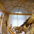 俄罗斯圣彼得堡埃尔米塔日博物馆孔雀钟
