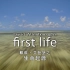 生命的起源-E01抵达-中文机翻配音版