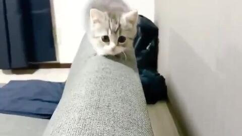 9d8486fd009638c8a61e06537c853c3003381bfd.jpg@480w_270h_1c