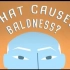 【Ted-ED】为什么有的人会秃顶 Why Do Some People Go Bald
