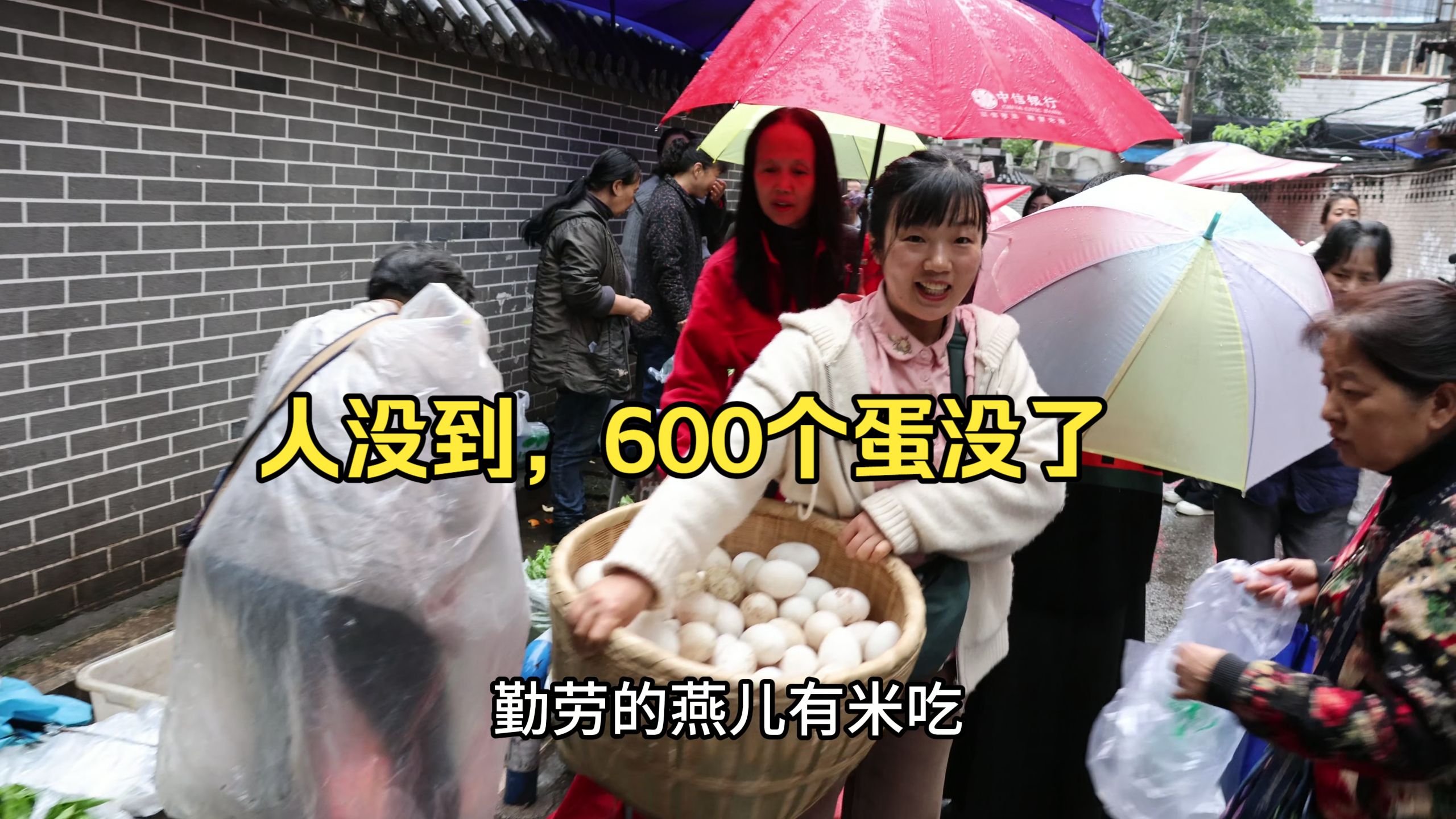 早市直接炸场，卖600个蛋，我算钱算到冒汗