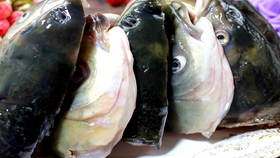 猪脚怎么炖最好吃不油腻 9dba0be549daad3a6a4c03f7b412bc1f7e0dbc6d.jpg@280w_158h_1c_100q.jpg