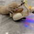 猫猫我呀，也骑上了摩托车，哈哈哈！！