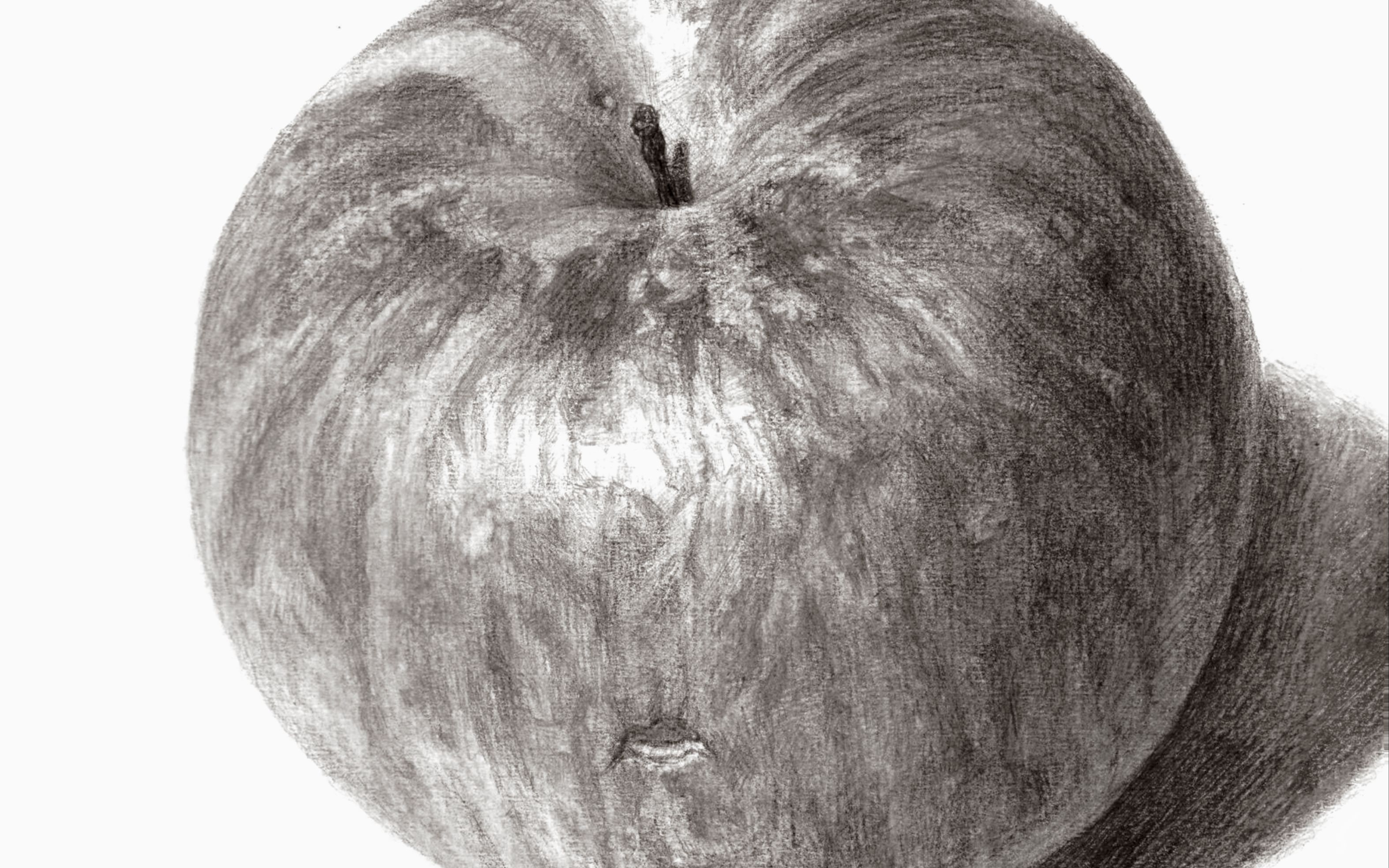 素描—“没有肌肉”的苹果原来长这样！！