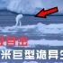 南极诡异目击：冰层上惊现30米“人造巨人”？未解生物Ningen之谜！